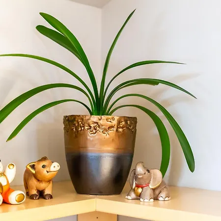 Engel Apartment *